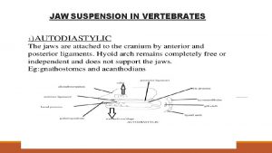 Jaw suspension in vertebrates