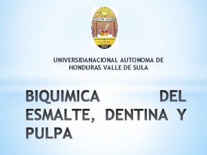 UNIVERSIDANACIONAL AUTONOMA DE HONDURAS VALLE DE SULA Componentes