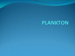 PLANKTON INTRODUCTION The term plankton was first used