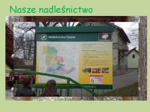 Nasze nadlenictwo O Nadlenictwie Turawa Nadlenictwo Turawa prowadzi