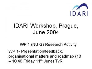 IDARI Workshop Prague June 2004 WP 1 NUIG