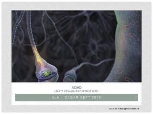ADHD UR ETT PRIMRVRDSPERSPEKTIV ALK DAGAR SEPT 2019
