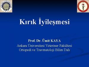 Krk yilemesi Prof Dr mit KAYA Ankara niversitesi