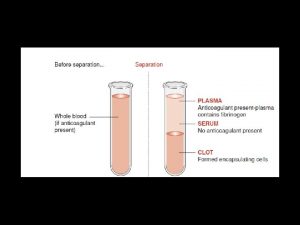 SANGUE INTERO costituito da parte corpuscolata plasma Si