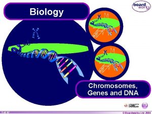 Biology Chromosomes Genes and DNA 1 of 47