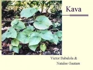 Kava Victor Babalola Natalee Gautam Taxonomy 1 n
