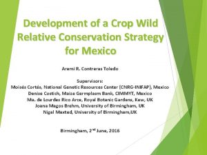 Development of a Crop Wild Relative Conservation Strategy