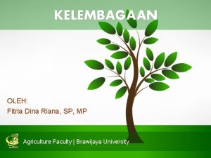 KELEMBAGAAN OLEH Fitria Dina Riana SP MP Agriculture