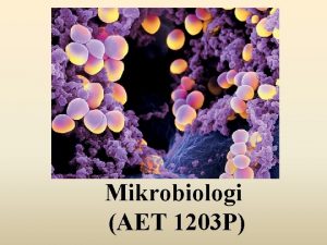 Mikrobiologi AET 1203 P Dosen Pengampu 1 Prof