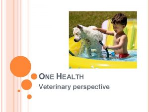 ONE HEALTH Veterinary perspective ONE HEALTH The collaborative