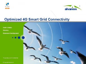 Optimized 4 G Smart Grid Connectivity Eedo Lifshitz