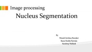 Image processing Nucleus Segmentation By Murali krishna Bandari