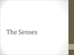The Senses Special senses Smell Taste Sight Hearing