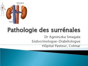 Pathologie des surrnales Dr Agnieszka Smagala EndocrinologueDiabtologue Hpital