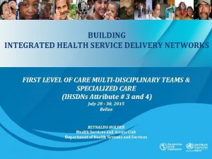 BUILDING INTEGRATED HEALTH SERVICE DELIVERY NETWORKS FIRST LEVEL