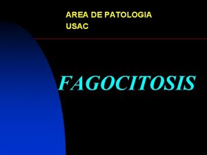 Patologia usac