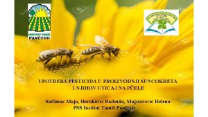 UPOTREBA PESTICIDA U PROIZVODNJI SUNCOKRETA I NJIHOV UTICAJ