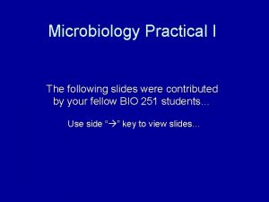 Microbiology Practical I The following slides were contributed