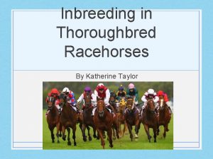 Inbreeding in Thoroughbred Racehorses By Katherine Taylor Inbreeding