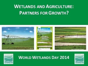 WETLANDS AND AGRICULTURE PARTNERS FOR GROWTH WORLD WETLANDS