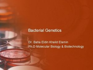 Bacterial Genetics Dr Baha Eldin Khalid Elamin Ph