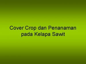 Cover Crop dan Penanaman pada Kelapa Sawit Cover