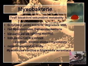 Myxobakterie Tvo bioaktivn sekundrn metabolity G tyinky pdn