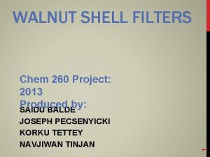 Walnut shell filter