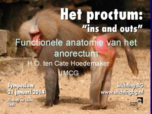 Functionele anatomie van het anorectum H O ten