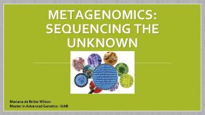 METAGENOMICS SEQUENCING THE UNKNOWN Mariana de Britto Wilson