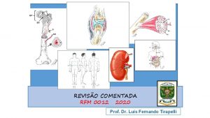 REVISO COMENTADA RFM 0012 2020 Prof Dr Lus