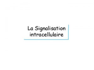 Signalisation intracellulaire