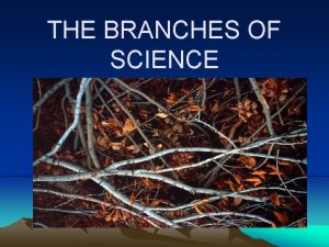 Mind map of branches of science