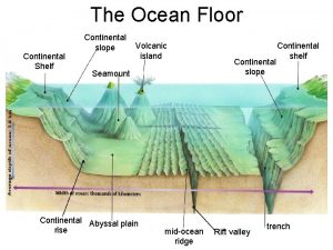 The Ocean Floor Continental Shelf Continental slope Volcanic