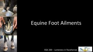 Equine Foot Ailments EQS 200 Lameness in Racehorses