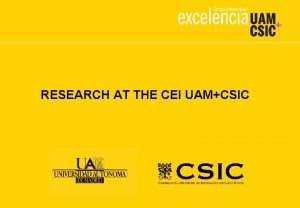 RESEARCH AT THE CEI UAMCSIC CEI UAMCSIC Strategic