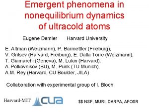 Emergent phenomena in nonequilibrium dynamics of ultracold atoms