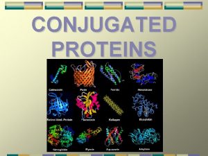 CONJUGATED PROTEINS On the basis of composition proteins