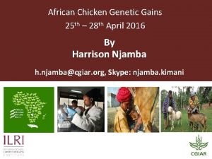 African Chicken Genetic Gains 25 th 28 th