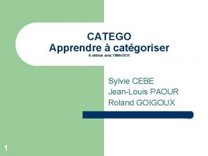 CATEGO Apprendre catgoriser A utiliser avec lIMAGIER Sylvie