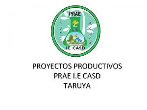 PROYECTOS PRODUCTIVOS PRAE I E CASD TARUYA QUE