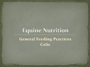 Equine Nutrition General Feeding Practices Colic Water How