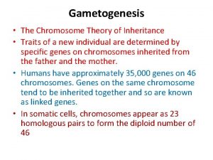 Gametogenesis The Chromosome Theory of Inheritance Traits of