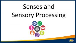 Senses and Sensory Processing Aims of today Understand