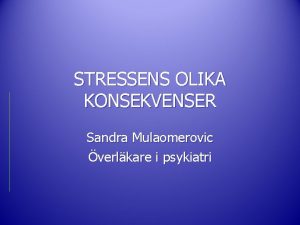 Sandra mulaomerovic