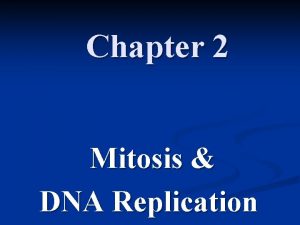 Chapter 2 Mitosis DNA Replication Mitosis is a