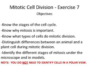 Mitotic Cell Division Exercise 7 Objectives Know the