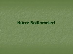 Hcre Blnmeleri Her canl organizmann byme ve geliimi