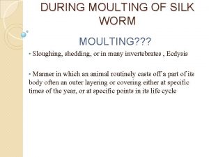 Moulting of silkworm