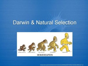 Four steps to natural selection